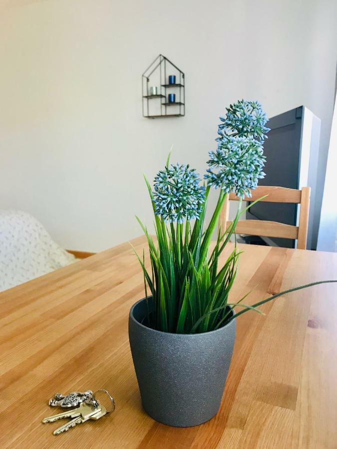 Apartment Mida Freiburg im Breisgau Luaran gambar